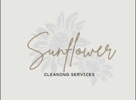 Domestic and Commercial Expert Cleaning Services
