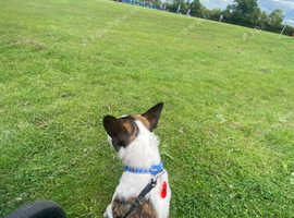 Max 10 month old