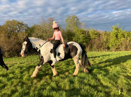 All rounders 14.1 mother-child share