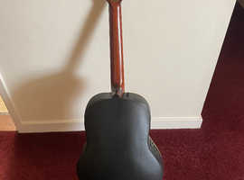 12 string guitar