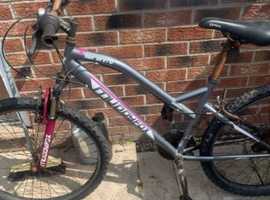 Women's 26 inch wheels bike