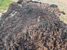 Fleeces for sale - selection of colours