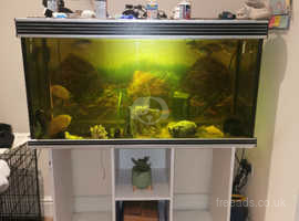 350L Tropical Fish Tank with White Stand, Full Set Up and Fish