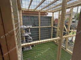 Cat enclosure