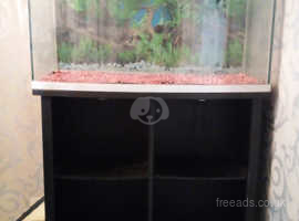 3ft tank and stand