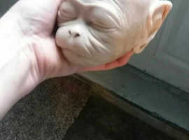 OOAK CLAY SCULPTURE MACAQUE MONKEY AMAZING