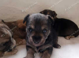 For sale