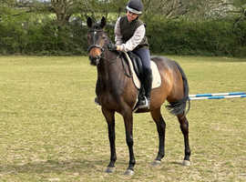 Lottie