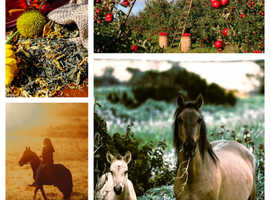 P/T Accommodated Seasonal Gardener Required