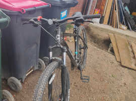 Cannondale trial 7