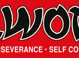Taekwondo Classes