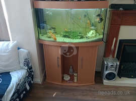 Juwel 3ft tank and stand with fish full set up