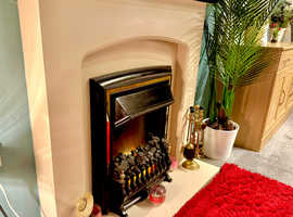 Adams coal effect fire