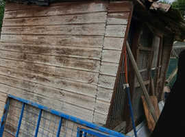 Garden Sheds