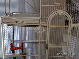 White large. Parrot cage