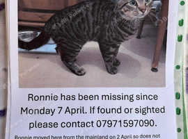 Missing from Gunville, Newport, Isle of Wight