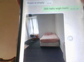 room to rent