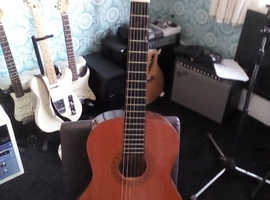 Hohner Classical Acoustic Guitar £90
