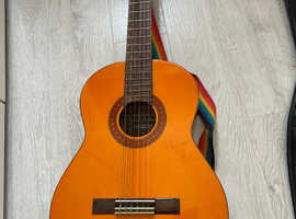 Marina mark 12 guitar vintage and guitar case