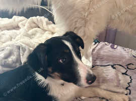 Six month old