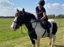 WANTED ON FULL LOAN/LWVTB