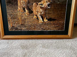 tiger cub painting