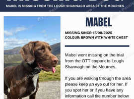 LOST DOG