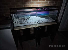 4 foot long clearseal tank ( with cabinets )
