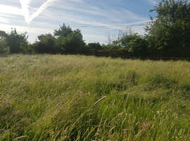 Hay For Sale Surplus To Requirements This Year  June 24
