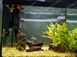 Fish tank full set up