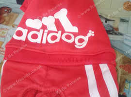 New dog jacket