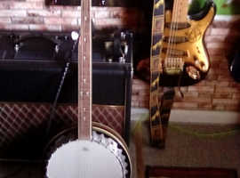 Full size banjo