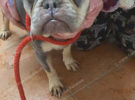 Billy