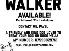Dog Walker / Sitter available in Portstewart / Portrush Area!