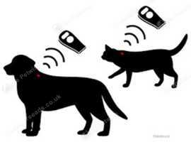 Pet Microchipping