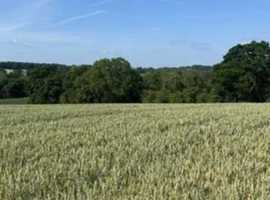Wanted land for sale