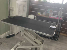 Large dog grooming table