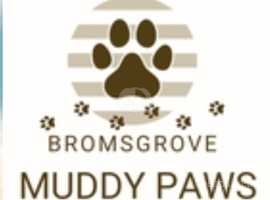 Bromsgrove muddy paws dog walking