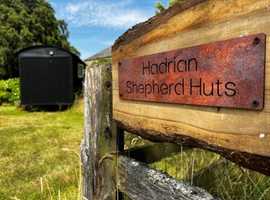 Award winning shepherd hut glamping in Northumberland