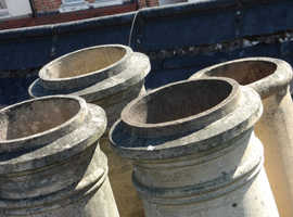 Independent damp and mould surveyor.