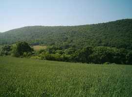 FOR SALE 11,484  Sq m Building Plot Near Sunny Beach Bulgaria.