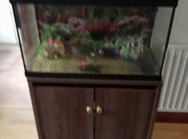 Fish tank with cupboard underneath
