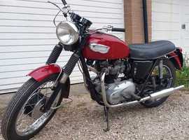 Triumph TR6 Trophy motorcycle