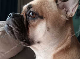 Frug
