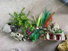 Aquarium plants and ornaments