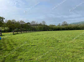 Dog walking and pet sitting. Honiton and surrounding area