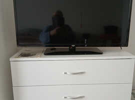 tv bush