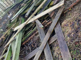Bundles of wood