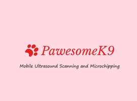Pawesomek9 the mobile ultrasound scanning and microchipping service you can trust