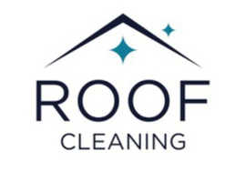 Roof cleaning (moss removal)